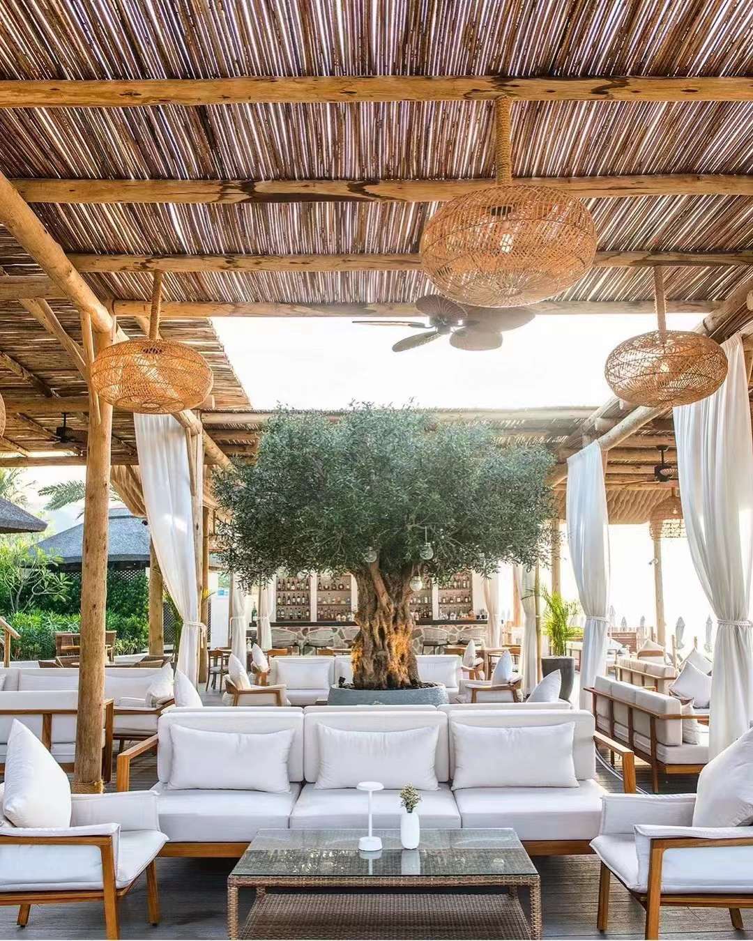 1694171073876155.jpg ddb96d3451415b34ccdc83f5f38fb2.jpg